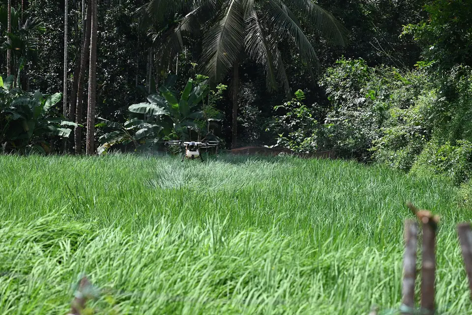 Field photos show spray drones at work (representative scenes)