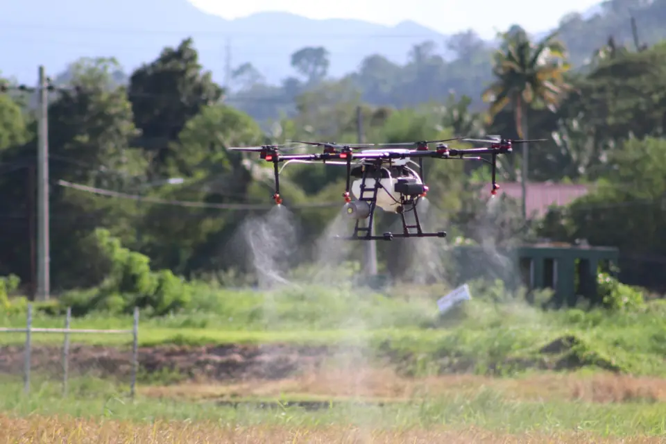 Agricultural drone spraying a rice field, mist trailing behind it